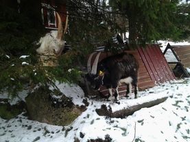 Pukit 2016-03-03 13.53.01.jpg